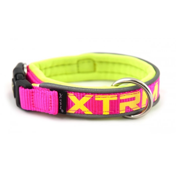 Collar Perros Fucsia X-Trm Neon Flash