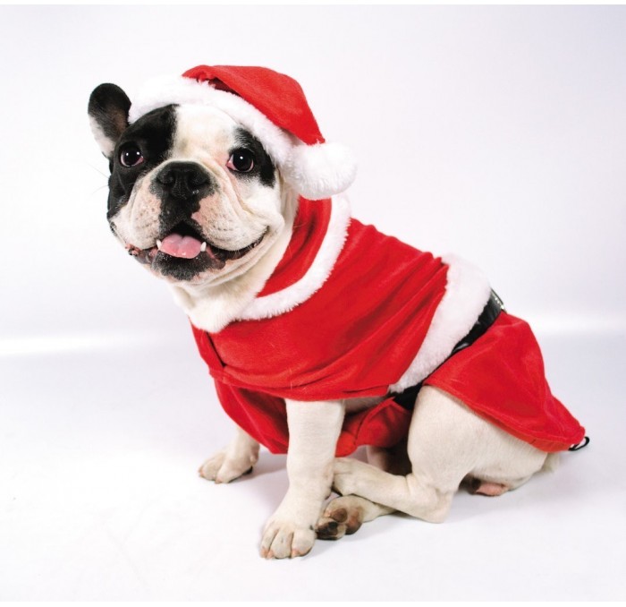 Disfraz para perro Papa Noel